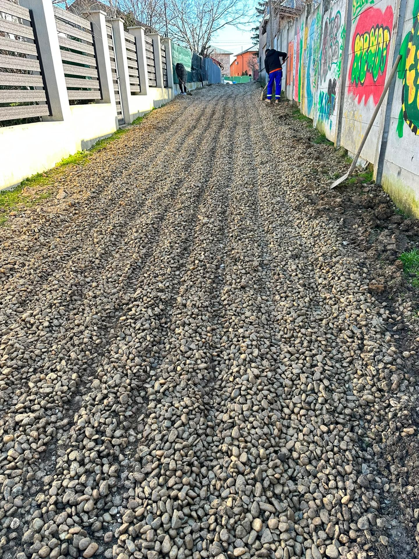 Drum de acces pietruit cu piatră de râu, nivelat cu grebla de doi muncitori, între garduri